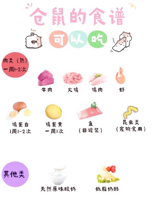 松鼠食谱一览表_食物与护理要点 松鼠食谱一览表_食物与护理要点