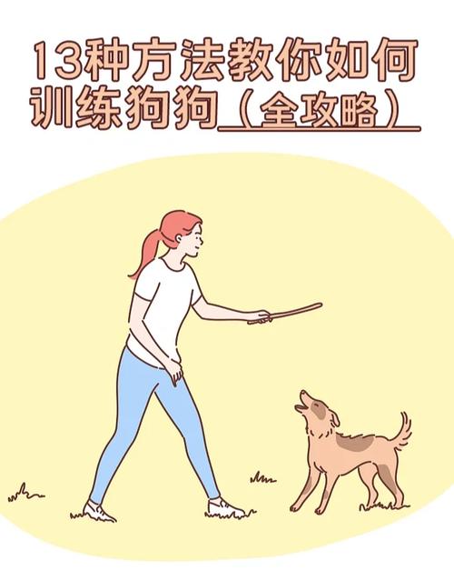 狗狗训练口令手势图解_狗狗口令手势训练，简单有效促理解