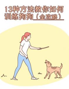 狗狗训练口令手势图解_狗狗口令手势训练，简单有效促理解