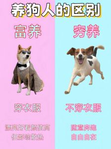 建议穷人养的10种狗狗_国产犬选哪个？忠诚聪明又实惠！