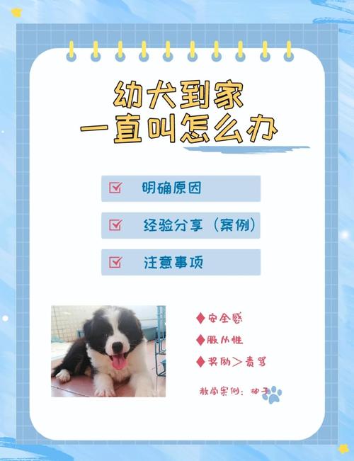 狗狗到新家一直呜呜叫_狗狗半夜呜呜叫怎么办?试试这些方法! 狗狗到新家一直呜呜叫_狗狗半夜呜呜叫怎么办?试试这些方法!