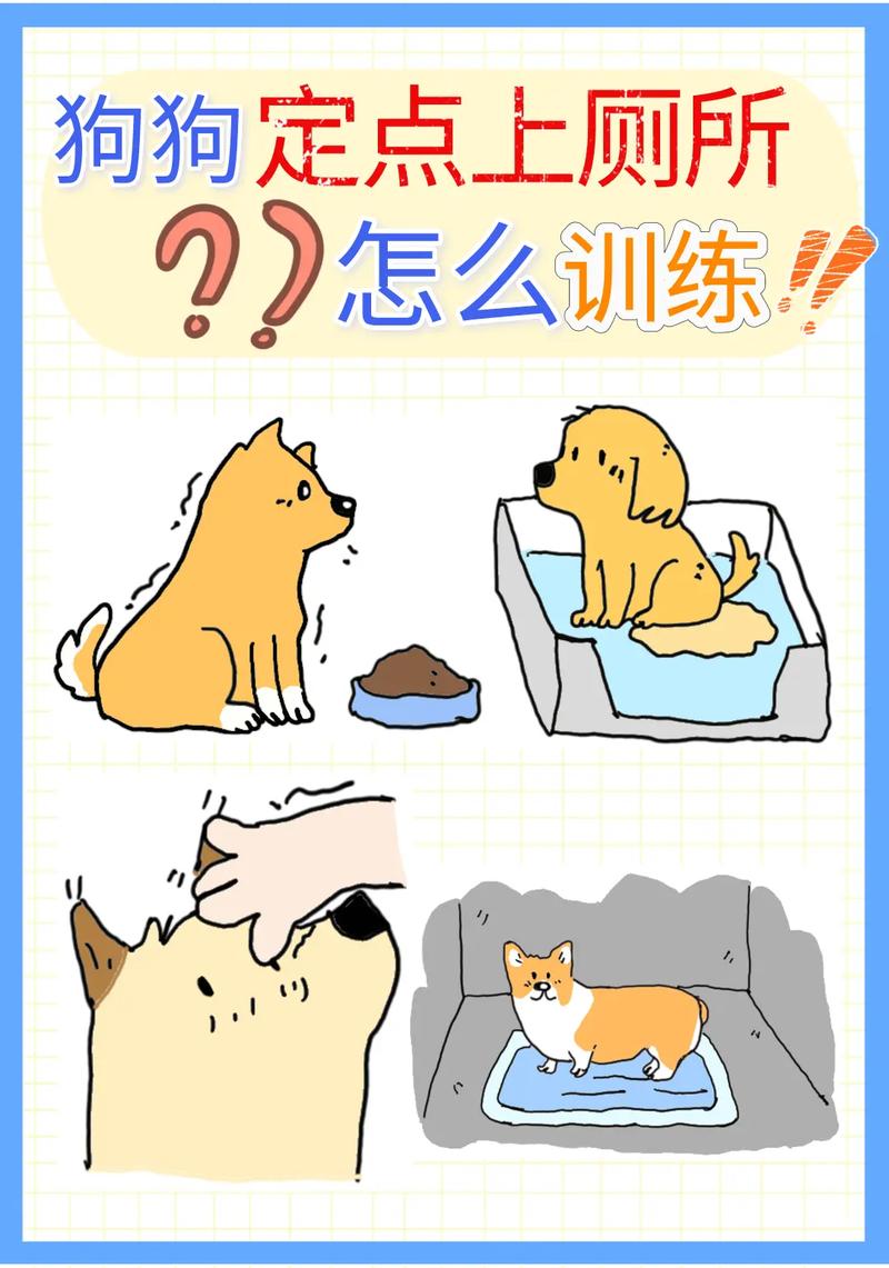 狗狗多大可以训练如厕_用奖励定点，耐心引导