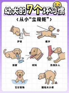 家长不让养狗该怎么办_行动证明责任心