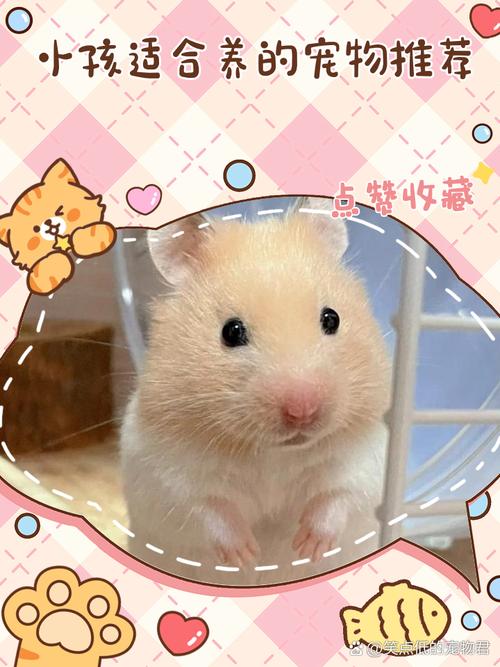 小孩子适合养什么宠物_孩子与宠物成长指南