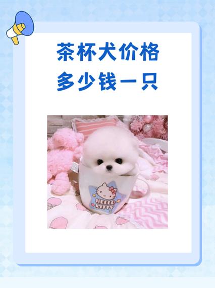 茶杯犬一般能活多久_茶杯犬寿命短？照顾好活10多年