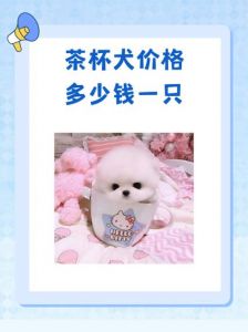 茶杯犬一般能活多久_茶杯犬寿命短？照顾好活10多年