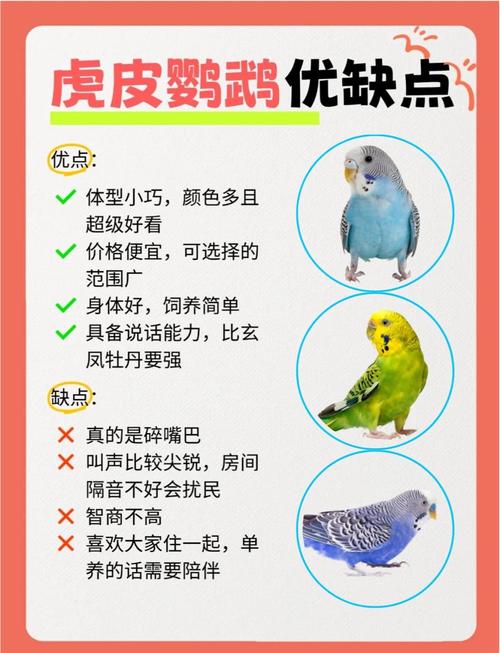 智商最高的鹦鹉排行_聪明鹦鹉会说话,像人一样! 智商最高的鹦鹉排行_聪明鹦鹉会说话,像人一样!