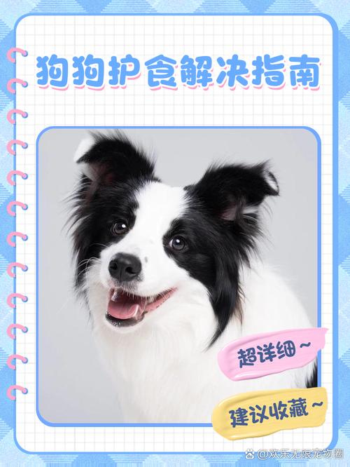 牧羊犬喂盐水吗_比利时德国牧羊犬慎用盐,过量有害需注意 牧羊犬喂盐水吗_比利时德国牧羊犬慎用盐,过量有害需注意