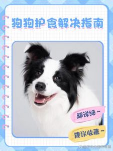 牧羊犬喂盐水吗_比利时德国牧羊犬慎用盐，过量有害需注意