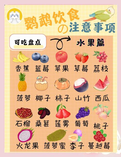 鹦鹉吃什么食物为主_鹦鹉吃什么?科学喂养小贴士 鹦鹉吃什么食物为主_鹦鹉吃什么?科学喂养小贴士