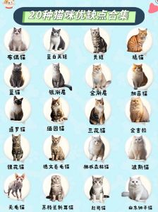 猫的品种大全及图片_布偶英短缅因德文卷毛猫特点及喂养