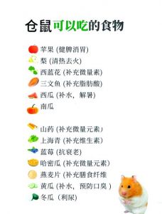 仓鼠可以吃大米粒吗_生米慎喂，多给粗粮，禁食葱姜蒜