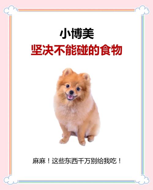 狗能吃动物奶油吗_狗狗不能吃奶油,易致消化不良肥胖和胰腺炎,健康饮食需谨慎 狗能吃动物奶油吗_狗狗不能吃奶油,易致消化不良肥胖和胰腺炎,健康饮食需谨慎