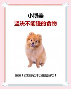 狗能吃动物奶油吗_狗狗不能吃奶油，易致消化不良肥胖和胰腺炎，健康饮食需谨慎