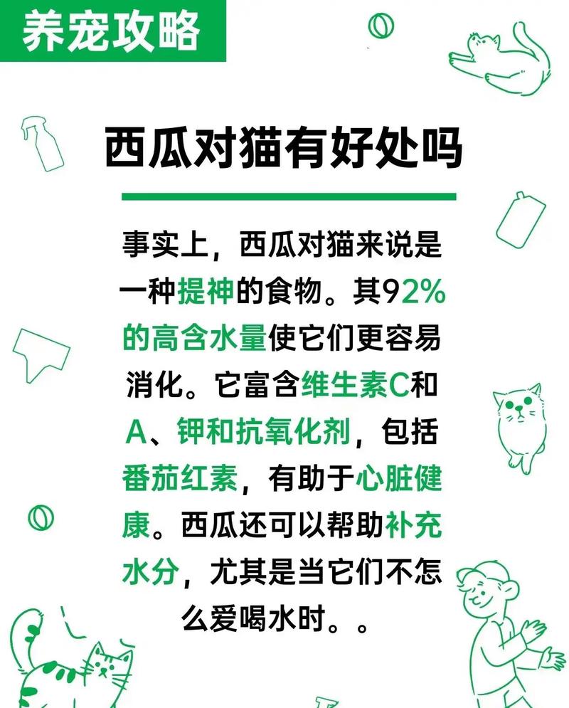 猫咪可以吃西瓜吗_猫咪可少量食西瓜,去籽去皮防阻塞,注意糖分 猫咪可以吃西瓜吗_猫咪可少量食西瓜,去籽去皮防阻塞,注意糖分