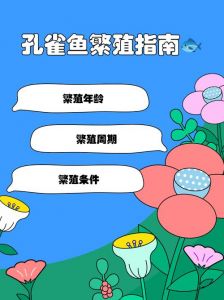 孔雀鱼最佳繁殖配对方法_孔雀鱼繁殖技巧，鱼缸更添趣味