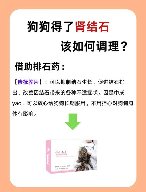 狗吃石头对身体有害吗_狗狗吃石头怎么办？注意健康风险，及时补微量元素