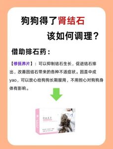 狗吃石头对身体有害吗_狗狗吃石头怎么办？注意健康风险，及时补微量元素