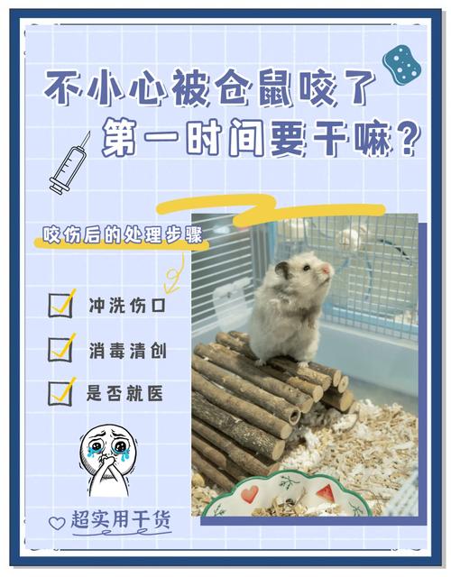 想看宠物兔子怎么咬出血_兔子咬人怎么办? 想看宠物兔子怎么咬出血_兔子咬人怎么办?