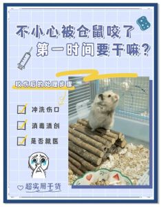 想看宠物兔子怎么咬出血_兔子咬人怎么办？