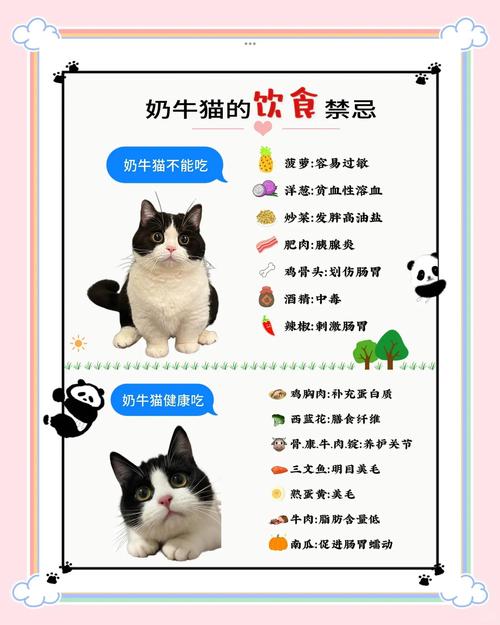 猫咪可以吃动物奶油吗_动物奶油不适合猫咪,易致肥胖和消化不良,建议喂食科学配比的猫粮或煮熟的鸡肉蔬菜 猫咪可以吃动物奶油吗_动物奶油不适合猫咪,易致肥胖和消化不良,建议喂食科学配比的猫粮或煮熟的鸡肉蔬菜