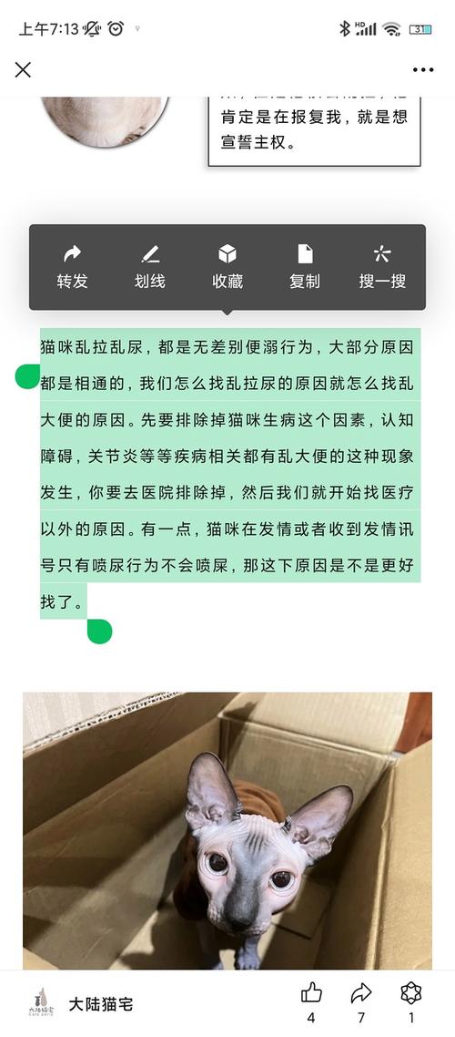 猫咪为什么在床上尿_猫咪床上尿尿怎么办?解决方法在这! 猫咪为什么在床上尿_猫咪床上尿尿怎么办?解决方法在这!