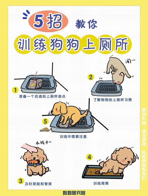 狗狗口令大小便_狗狗定点大小便训练法