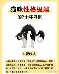 没有猫砂猫会憋死吗_猫咪没猫砂会憋尿憋屎伤健康