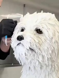 狗狗巧克力制作方法_简单网红甜点教程