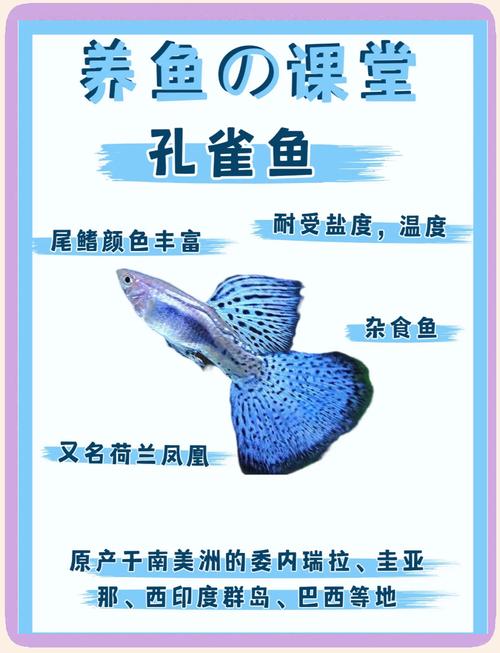 孔雀鱼寿命是几年_孔雀鱼寿命长短看这几点 孔雀鱼寿命是几年_孔雀鱼寿命长短看这几点