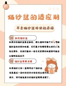 猫咪为什么突然不在猫砂盆拉屎_猫咪不在猫砂盆？检查原因并改善