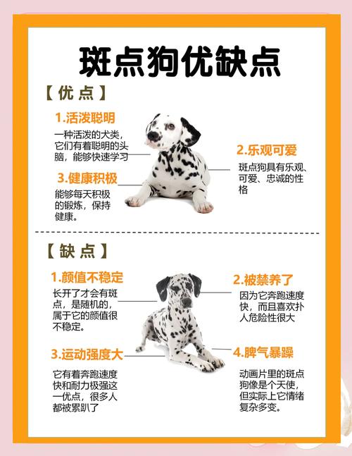 斑点狗怎么训练_斑点狗训练有耐心,用对方法更聪明 斑点狗怎么训练_斑点狗训练有耐心,用对方法更聪明