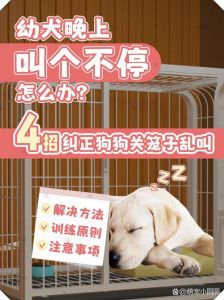 狗一天到晚看见有人都叫怎么办_狗狗吠叫怎么办？试试这些方法！