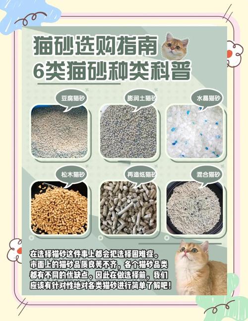 猫为什么会用猫砂_猫咪天性爱干净,选对猫砂盆很重要 猫为什么会用猫砂_猫咪天性爱干净,选对猫砂盆很重要