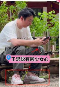 王思聪将什么水喂狗_王思聪爱犬王可可奢华生活引关注，宠物世界千奇百怪！