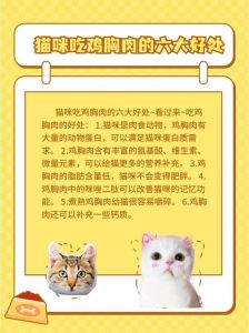 猫咪吃鸡胸肉有什么好处_猫咪营养辅食，煮熟适量更健康