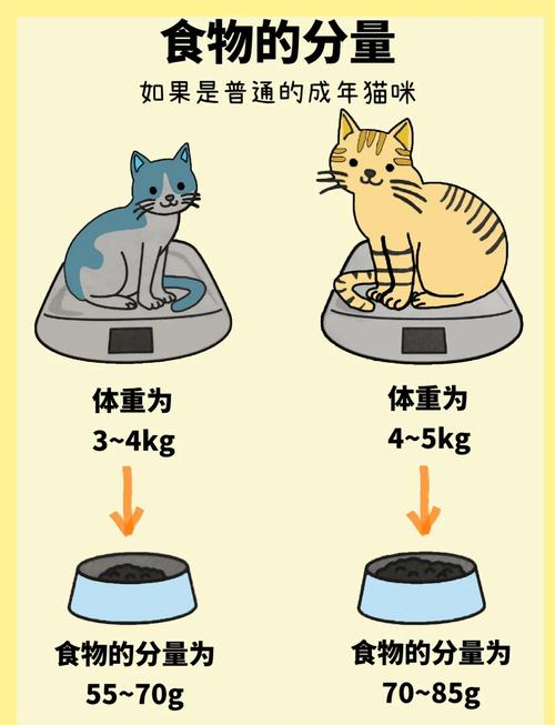 猫咪一天喝多少正常_猫咪饮水多少算正常? 猫咪一天喝多少正常_猫咪饮水多少算正常?
