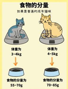 猫咪一天喝多少正常_猫咪饮水多少算正常？