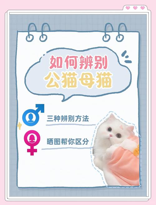 怎么确定猫认主人了_蹭脸跟行呼噜蹭衣,说明它把你当家人啦! 怎么确定猫认主人了_蹭脸跟行呼噜蹭衣,说明它把你当家人啦!