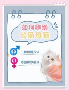 怎么确定猫认主人了_蹭脸跟行呼噜蹭衣，说明它把你当家人啦！