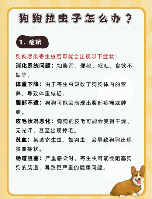 如何处理狗狗的异物堵塞_狗狗喉咙卡异物?拍背催吐并速就医! 如何处理狗狗的异物堵塞_狗狗喉咙卡异物?拍背催吐并速就医!
