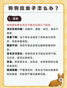 如何处理狗狗的异物堵塞_狗狗喉咙卡异物？拍背催吐并速就医！