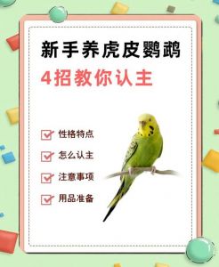 虎皮鹦鹉的饲养大忌_养虎皮鹦鹉需备好笼子，均衡饮食，多陪伴，常放风