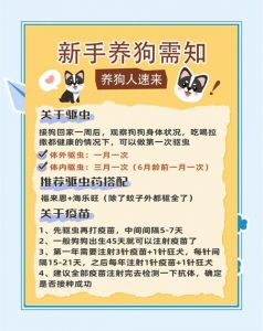 新狗狗到家要注意什么_水食安排与注意事项