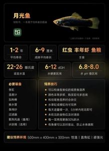 红月光鱼为什么不能随便养_月光鱼好养吗？新手慎选，要求高！