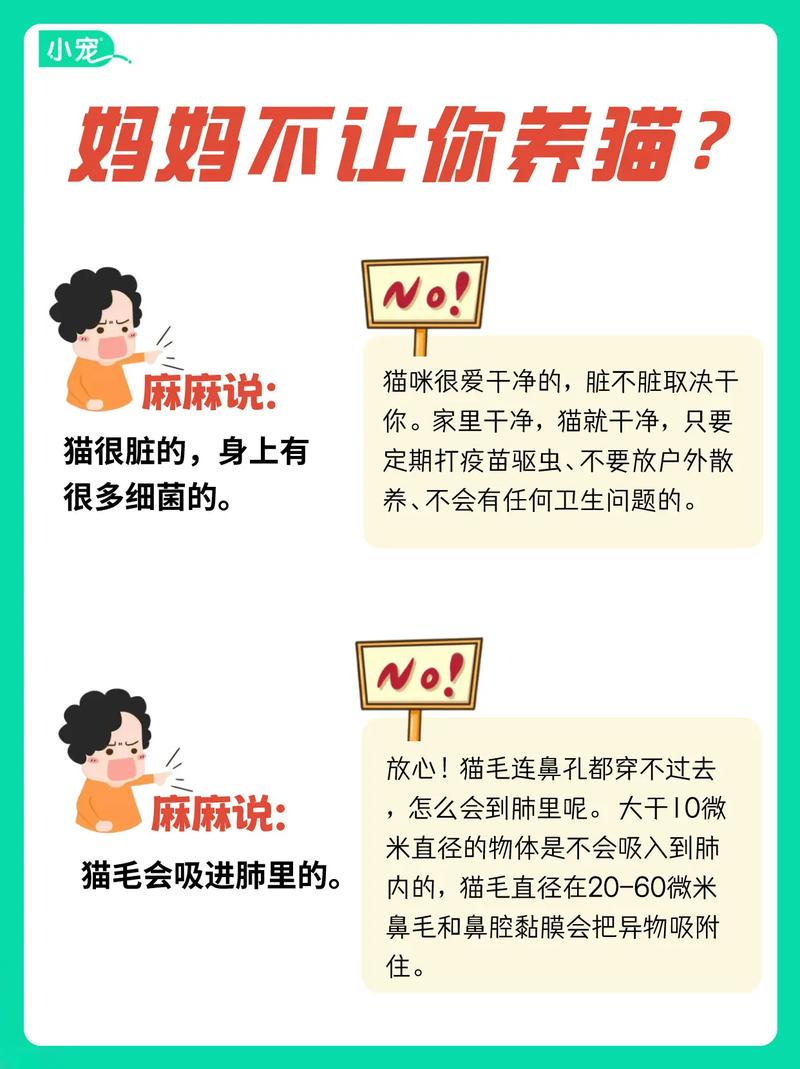 家长为什么不同意养猫_父母反对孩子养猫?沟通协商是关键 家长为什么不同意养猫_父母反对孩子养猫?沟通协商是关键