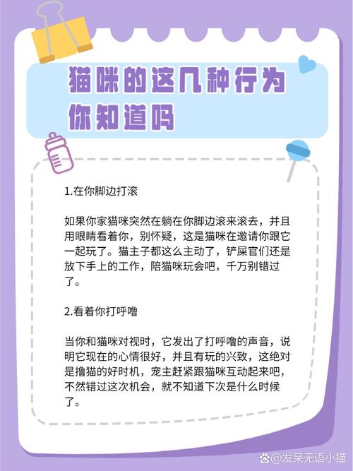 为什么猫咪出去玩总是要主人陪_猫咪总跟着主人?信任依恋的亲密表现 为什么猫咪出去玩总是要主人陪_猫咪总跟着主人?信任依恋的亲密表现