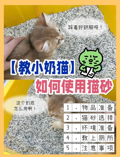 猫为啥一直刨猫砂盆_猫刨砂盆？不干净无聊或健康问题！