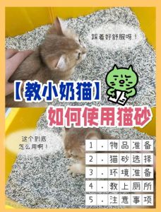 猫为啥一直刨猫砂盆_猫刨砂盆？不干净无聊或健康问题！
