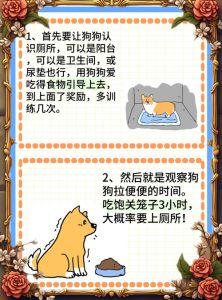 训练小狗狗大小便妙招_教狗狗定点大小便，保持家居整洁